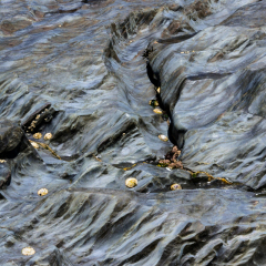 Ballydonegan Bay