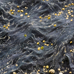 Ballydonegan Bay