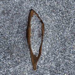 nz_2015_01_09193