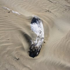 nz_2015_01_12972