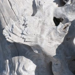 e_2013_04_0348