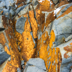 irl_2014_05_6516-1
