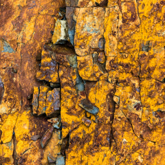irl_2014_05_6571-1