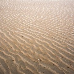 d_2023_02_2686