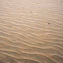 d_2023_02_2689