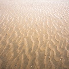 d_2023_02_2690