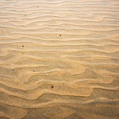 d_2023_02_2693