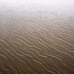 d_2023_02_2698