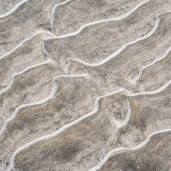 d_2023_02_3636