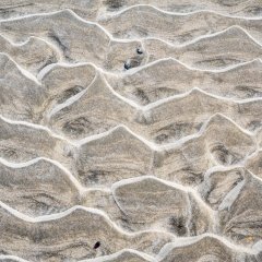 d_2023_02_3642