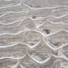 d_2023_02_3647