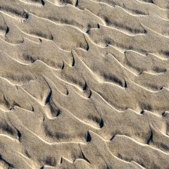 nl_2024_01_1304