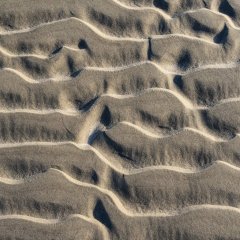 nl_2024_01_1331
