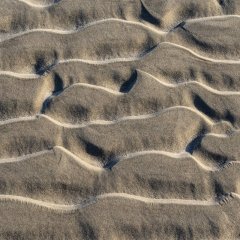 nl_2024_01_1333