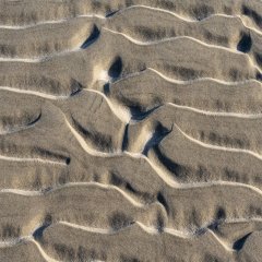 nl_2024_01_1334