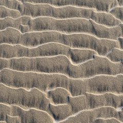 nl_2024_01_1352