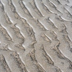 d_2022_01_1437