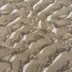 d_2022_01_1442