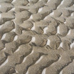 d_2022_01_1447
