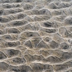 d_2022_01_0450