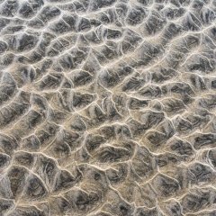 d_2022_01_0453
