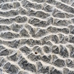 Netting