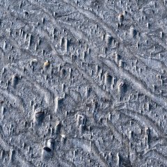 d_2022_01_2120
