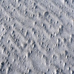 d_2022_01_2129