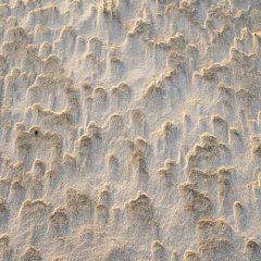 d_2023_02_2237