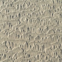 Life on Mars I