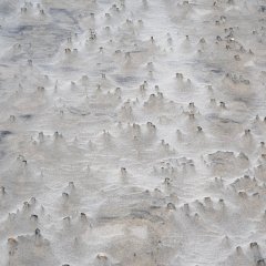 d_2023_02_1946