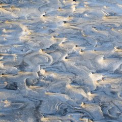 d_2023_02_2168