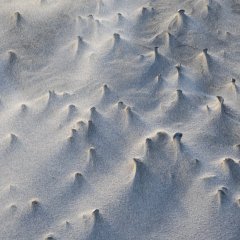 d_2023_02_2179
