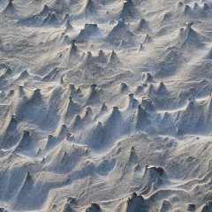 d_2023_02_2181