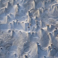 Life on Mars II