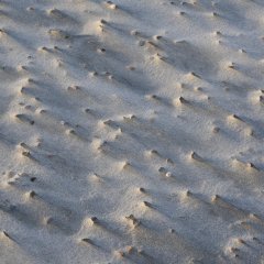 d_2023_02_2195