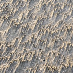 d_2023_02_2220
