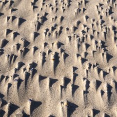 d_2023_02_2920
