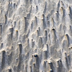 d_2023_02_3087