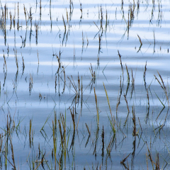 irl_2010_11_0023