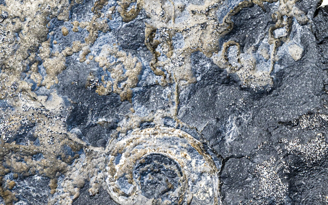 Aran | Matter I