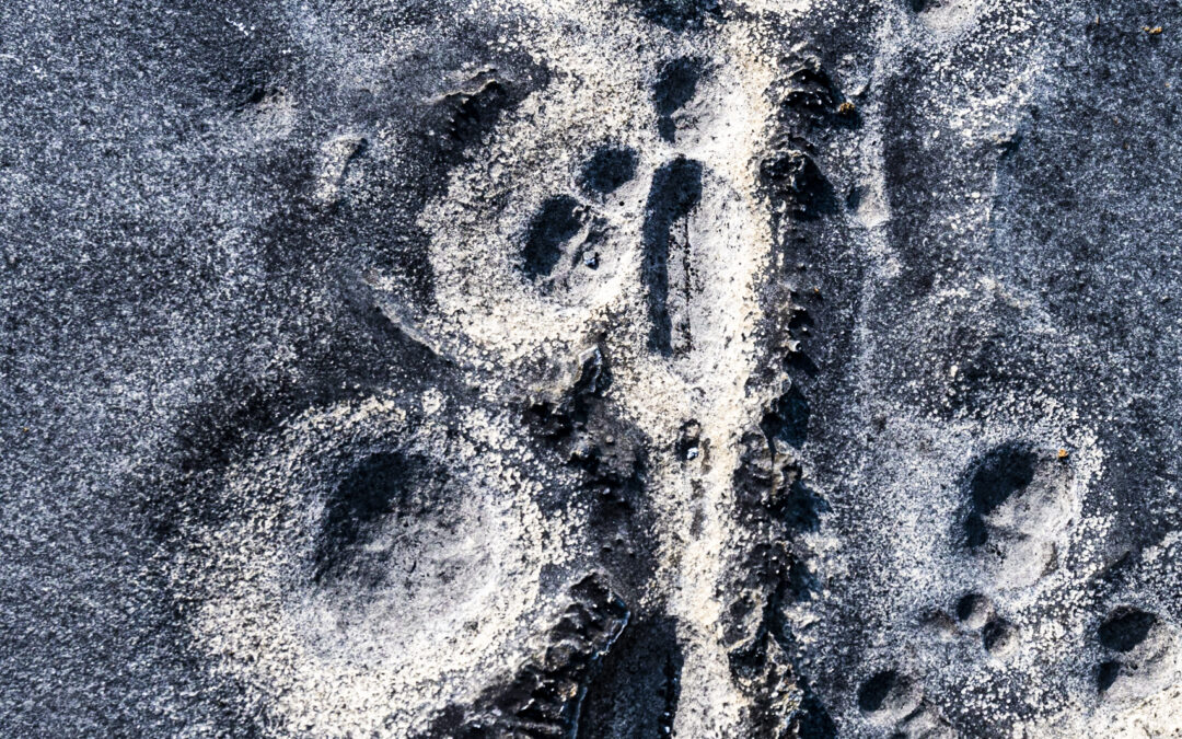 Aran Constellations II