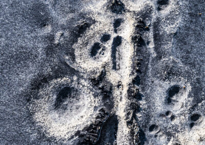 Aran Constellations II