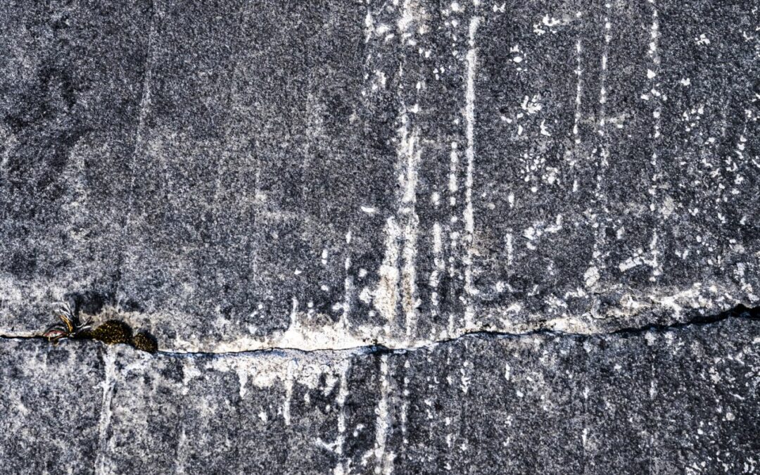 Aran | Lines I