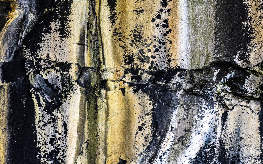 Aran | Walls I